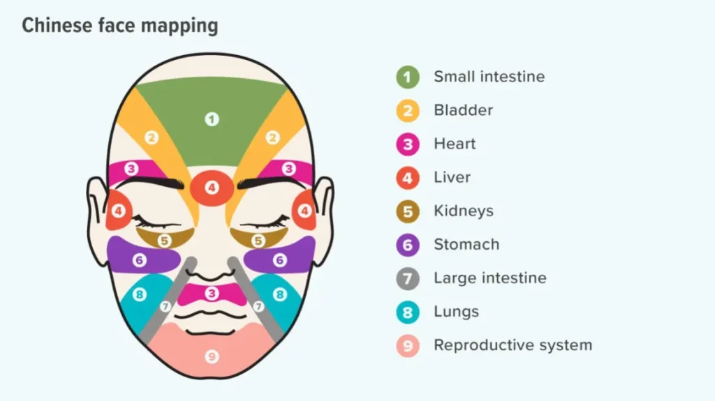 Acne Face Mapping: What Your Breakouts May Be Telling You About Your Health