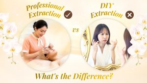 Professional Extraction vs DIY Extraction: What’s the Difference?